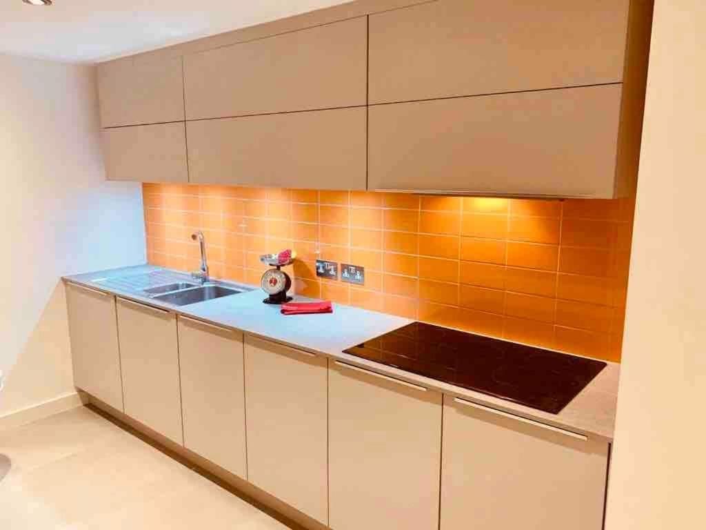Unique And Artistic 1bed Flat With Kitchen And Bathroom * Londra